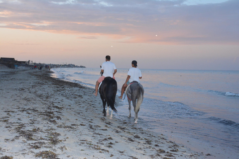 Djerba: 2 Stunden Reiten am Strand