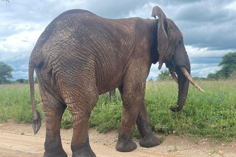 Arusha: 4-Day Safari with Full-Board Accommodations