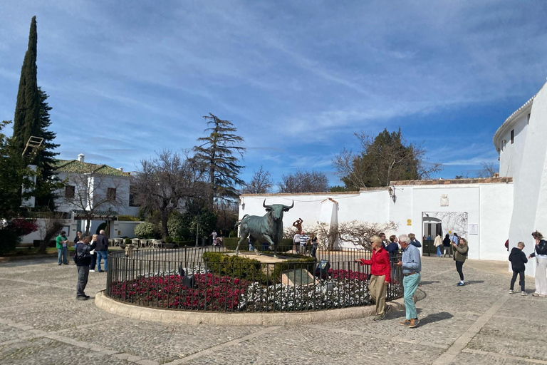 from Estepona, Marbella, Mijas: RONDA private tour incl. transportation and tapas