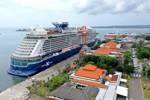 Bali Shore Excursion: Ubud, Rice Terraces & Waterfall