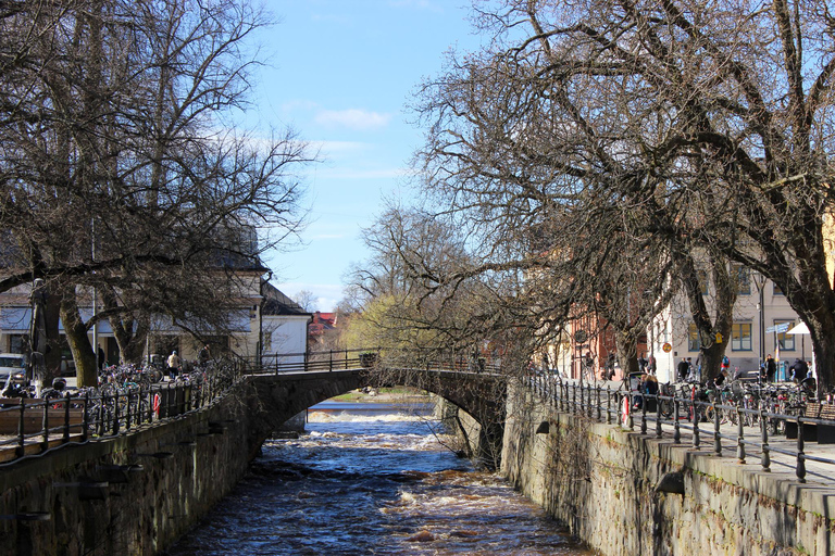 Uppsala: Hoogtepunten van de stad en verborgen juweeltjes wandeltour