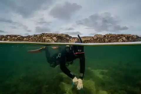 Coral Beach Snorkeling Galway