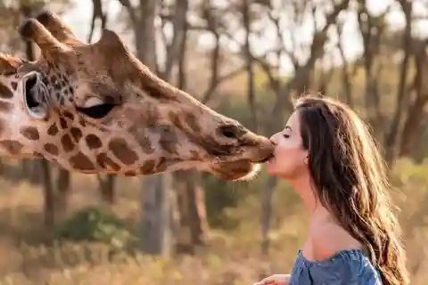 Nairobi: David Sheldrick, Giraffe Center & Kobe Beads