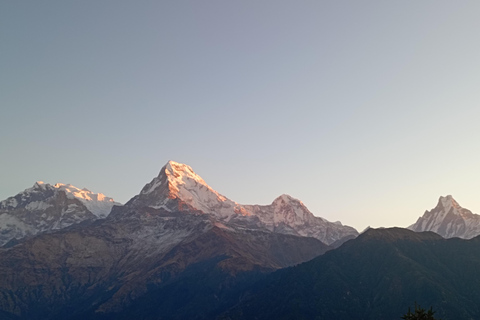 Ghorepani: Wanderung auf dem Poon HillStandard-Option