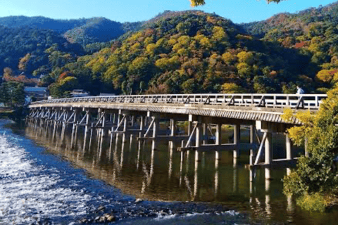 Von Osaka aus: Kyoto Ganztagestour Private Tour nach MaßToyota Alphard 0-5