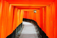 From Osaka/Kyoto, Kyoto & Nara Bus Tour w/ Kinkakuji Ticket - Housity