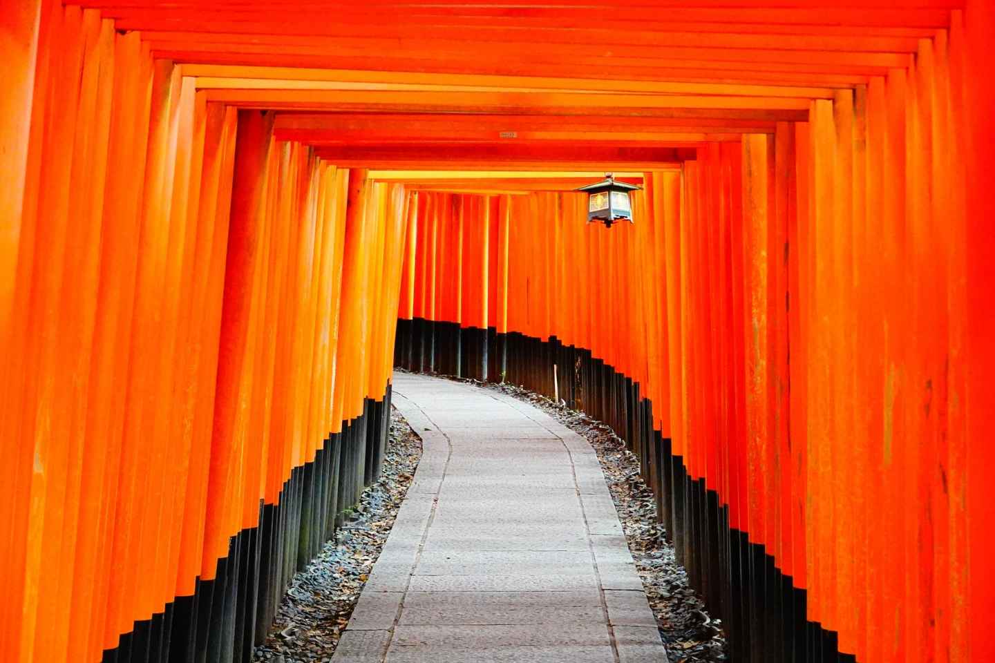 Itinerary gallery 1