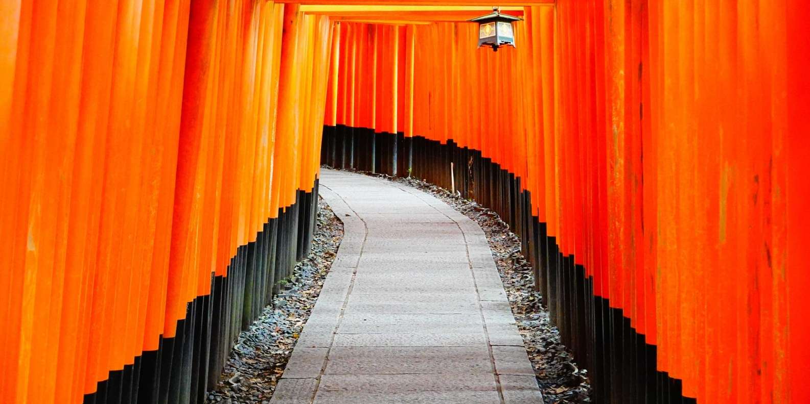 Kyoto experience — temples, geisha, bamboo grove — image 2