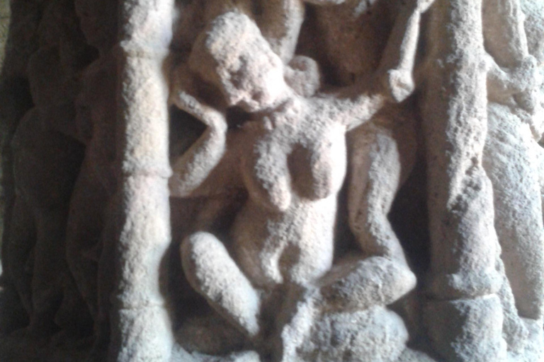 Da Ahmedabad: tour privato di 4 giorni in Gujarat e Rajasthan