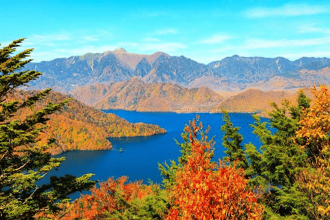 Visite touristique de Nikko en charter privé avec guideDepuis Tokyo : Nikko visite privée d'une journée