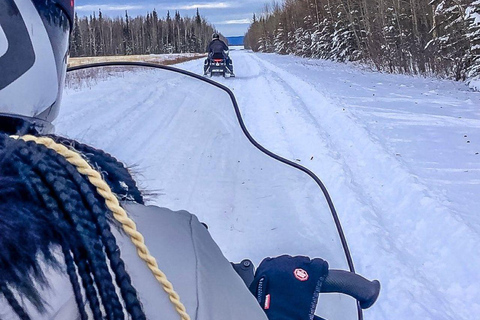 Fairbanks, Alaska: Guided Snowmobile Tour Snowmobile Tour: Couple (2 riders per sled)