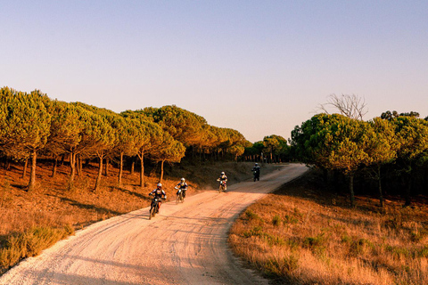 Lagos, Algarve: Adventure Tours on Surron Electric Dirtbikes Golden Cliffs Tour