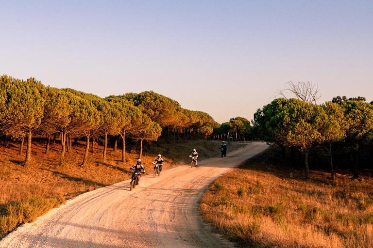 Lagos, Algarve: Adventure Tours on Surron Electric Dirtbikes Golden Cliffs Tour