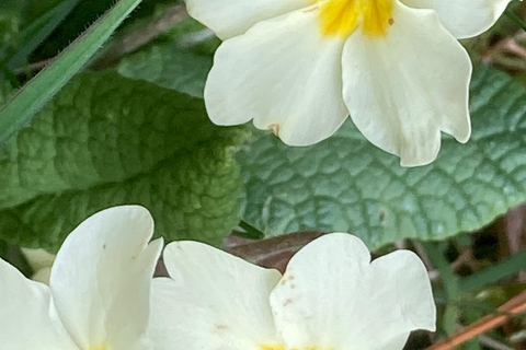 卡特琳湖电动自行车之旅