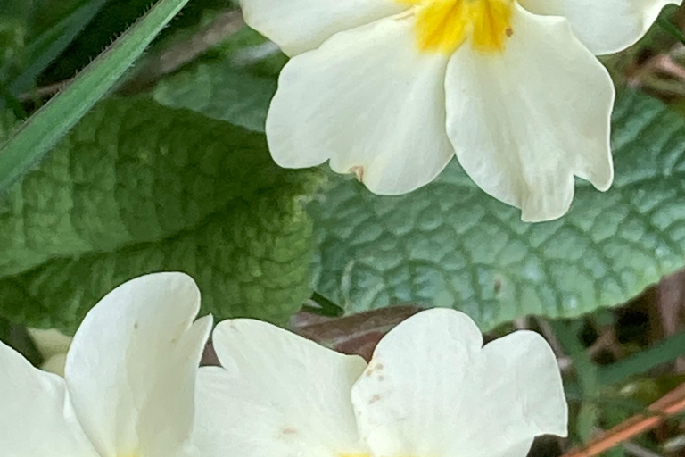 卡特琳湖电动自行车之旅
