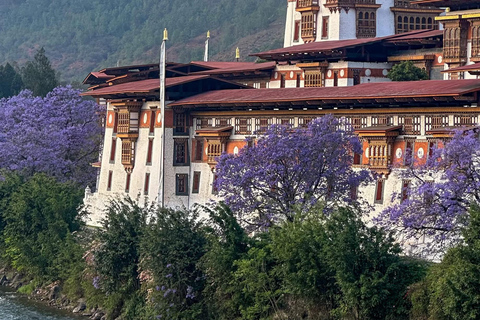 Bhutan: 4-Day Guided Tour with Tiger's Nest Hike & Meals
