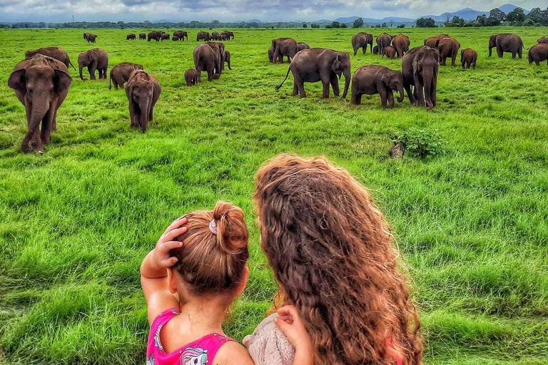 Habarana: Pure Village Life and Cultural Experience Day Tour we make real and untouched sri lankan experience