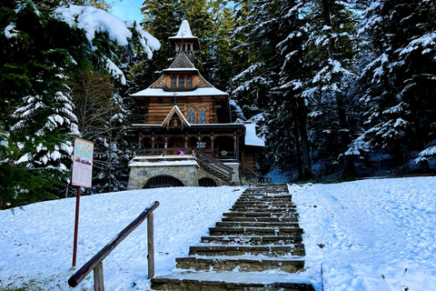 Von Krakau aus: Slowakische Baumkronenwanderung und Zakopane TourTour mit Abholung am Treffpunkt