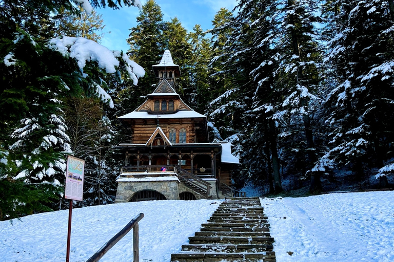 Von Krakau aus: Slowakische Baumkronenwanderung und Zakopane TourTour mit Abholung am Treffpunkt