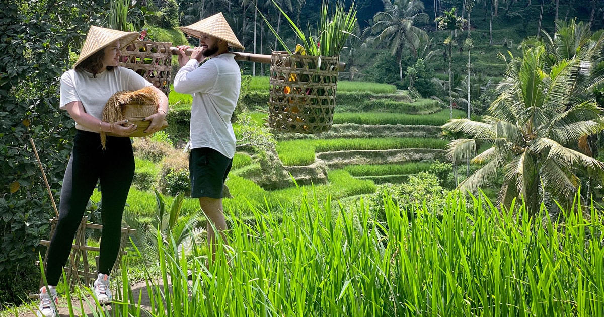 Ubud Funtastic Tour with Local Guide GetYourGuide
