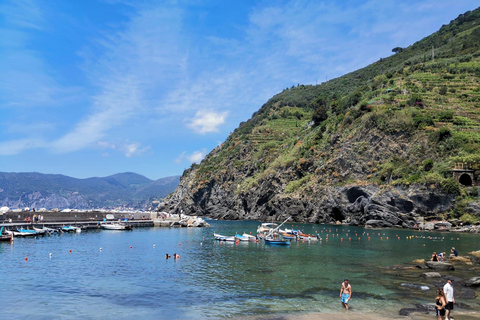 Vanuit Florence: Dagtour in kleine groep naar Cinque Terre en Pisa