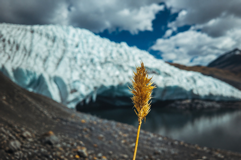 From Huaraz: Pastoruri Glacier Full-Day Tour with Hike