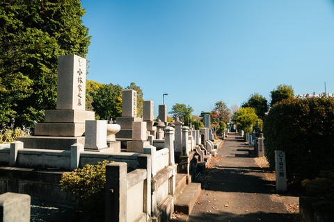 Old Tokyo: Yanaka & Nezu Shrine Guided Walking Tour