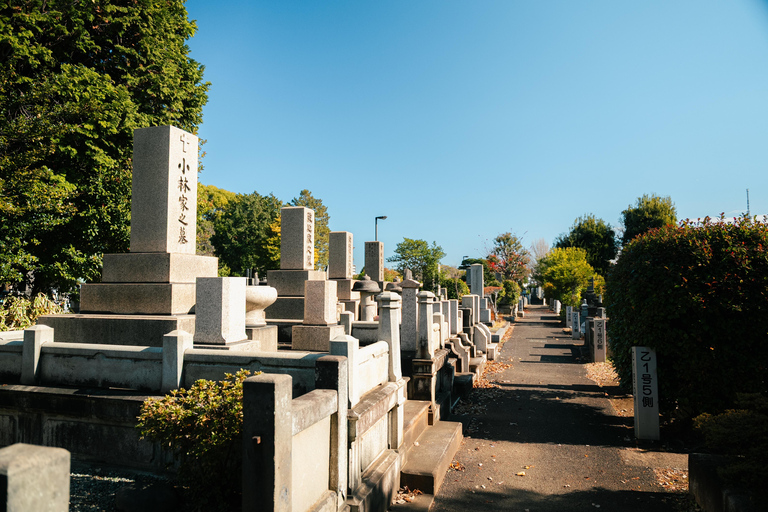 Old Tokyo: Yanaka & Nezu Shrine Guided Walking Tour