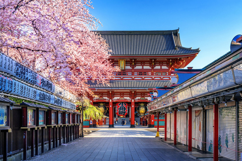 Tour privado de la ciudad de Tokio con conductor de habla inglesa