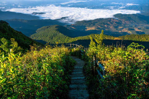 Doi Inthanon nationalpark &amp; vandring Kew Mae Pan Nature Trail