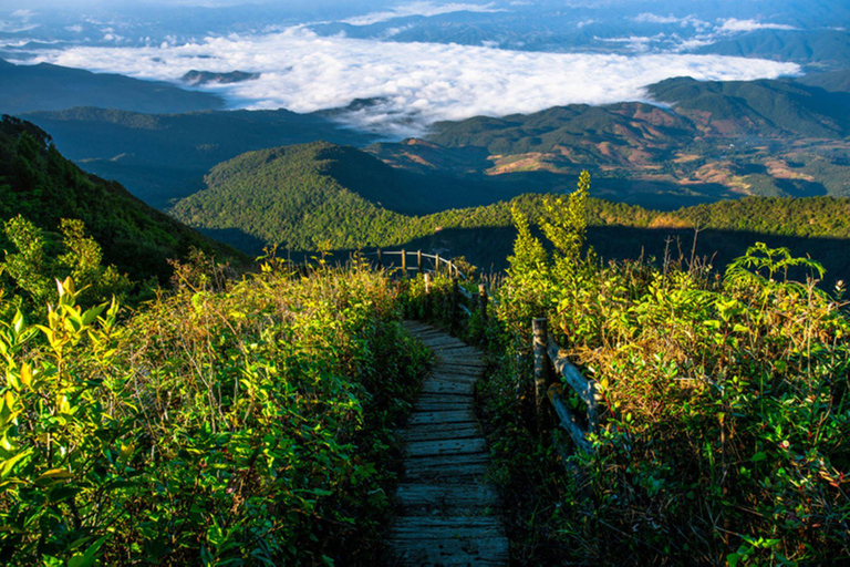 Doi Inthanon Nationaal Park &amp; Wandelen Kew Mae Pan Natuurpad