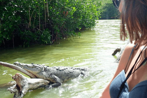 Excursión a Ría Lagartos, Coloradas y Playa CancúnitoMérida: Excursión a Ría Lagartos, Coloradas y Playa de Cancunito