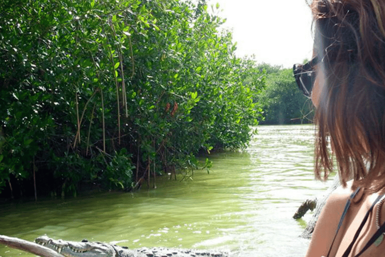 Excursies naar Lagartos, Coloradas en Playa CancúnitoMerida: Excursie naar het strand van Ria Lagartos, Coloradas & Cancunito