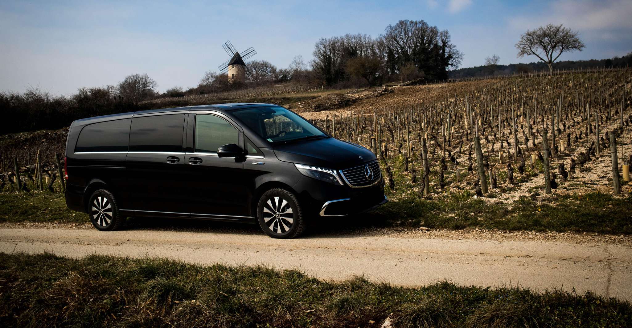 Côte de Beaune and Côte de Nuits , Private Full day Winetour - Housity