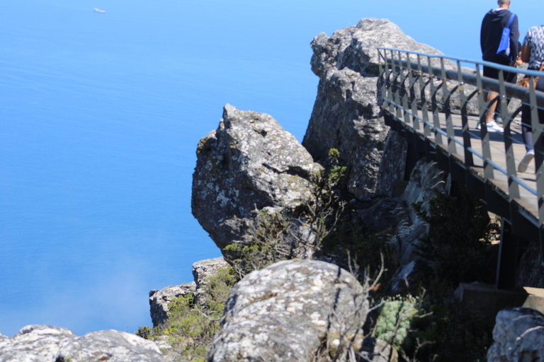 Cape Town: Table Mountain, Bo-Kaap, & Boulders Beach Tour