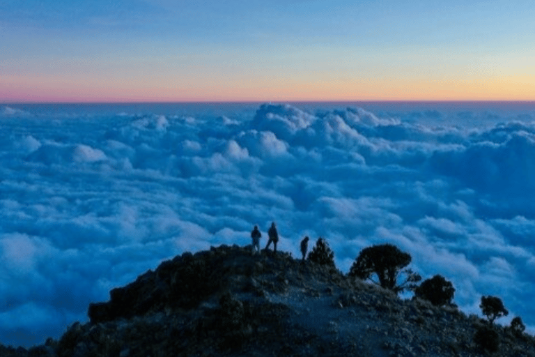 Grande Canarie : vidéo VIP PRIVÉE en drone 4K du nord de l'îleGrande Canarie : visite vidéo VIP privée en drone 4K