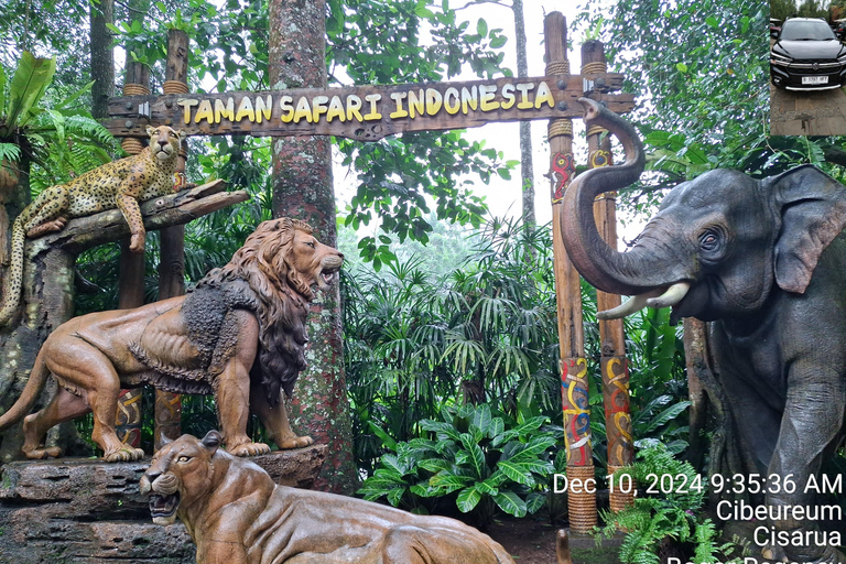 Taman Safari and Tea Plantation Tour at Puncak