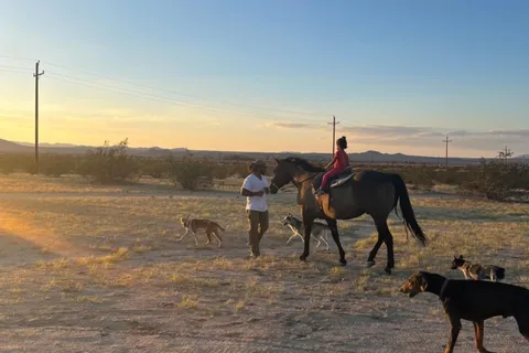 Joshua Tree: Ponyreiten für Kinder
