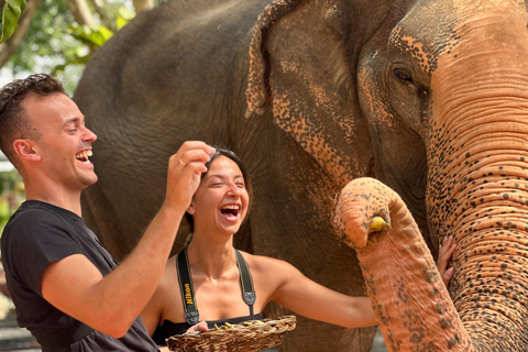Koh Samui: Ethical Elephant Home Guided Tour with Transfers