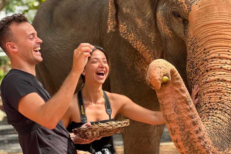 Koh Samui: Ethical Elephant Home Guided Tour with Transfers