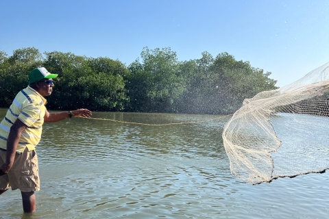 Ecotourisme et pêche dans la mangrove naturelle de Carthagène