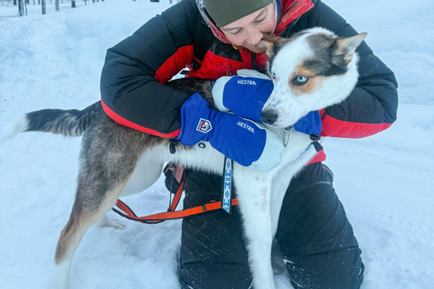 Äkäslompolo: Husky Trail Walk, Walk 1:1 with Your Own Husky Meet at the meeting point in Äkäslompolo