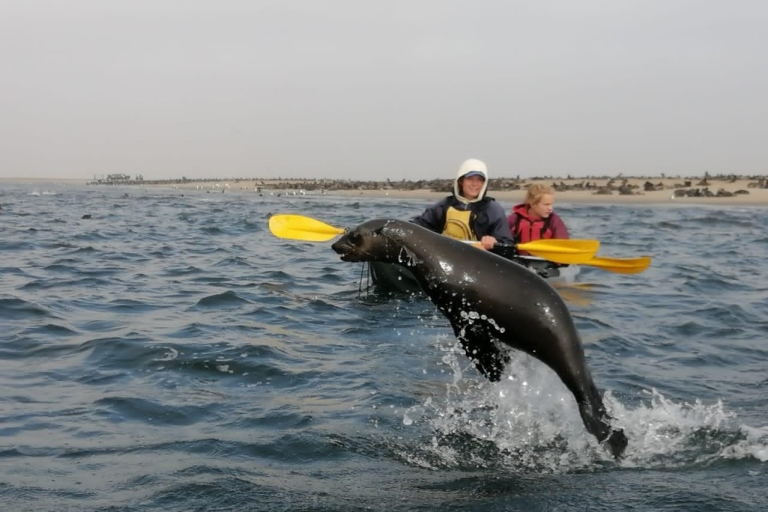 Sandwich harbour Boatcruise or Kayak and dune tour sand wich harbour boat?Kayak and dune tour boat @ 8H00/17h00
