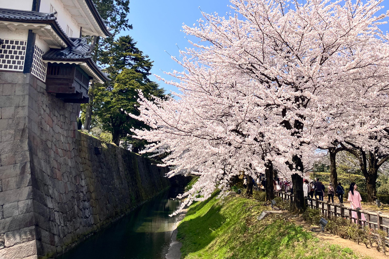 Kanazawa: Guided Walking Tour 4 best spots