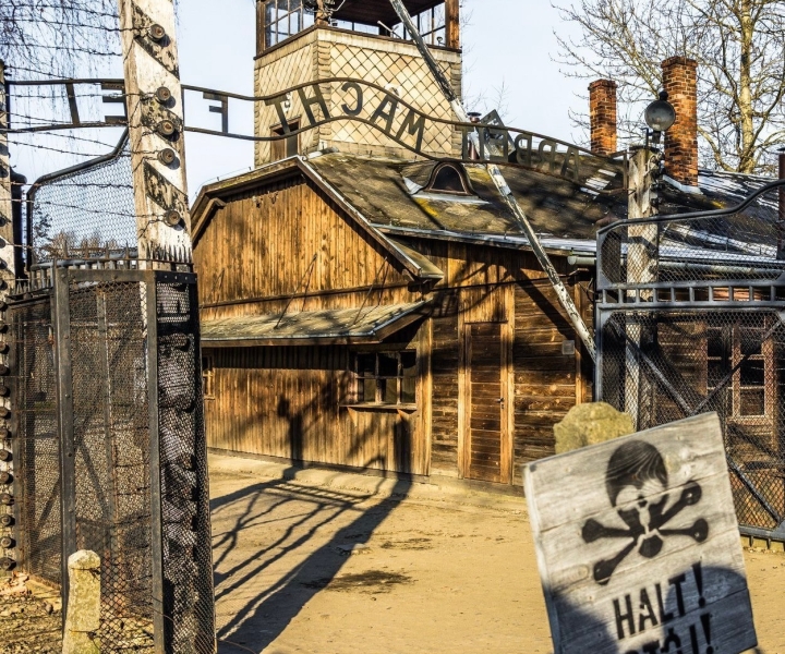 Auschwitz-Birkenau: visita guiada sem filas