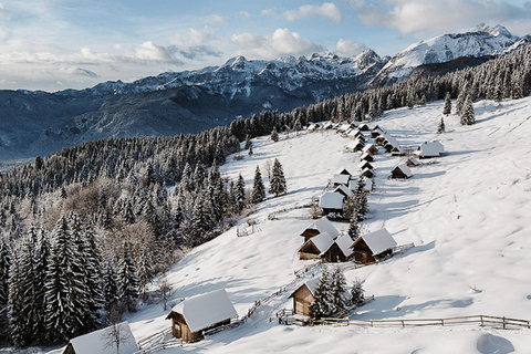 Slovenia: Nordic Backcountry Skiing Adventure Pokljuka: Zajavornik Alpine Meadow