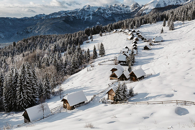Slovenia: Nordic Backcountry Skiing Adventure Pokljuka: Zajavornik Alpine Meadow