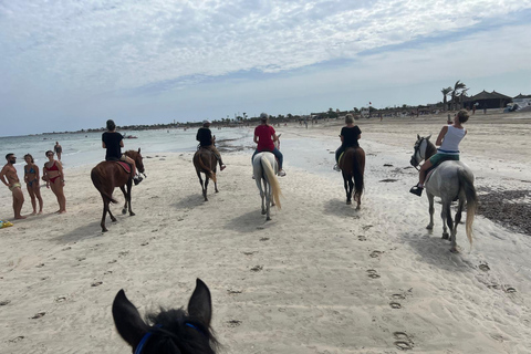 Djerba: Beginner Horse Riding Lesson for Adults and Children.