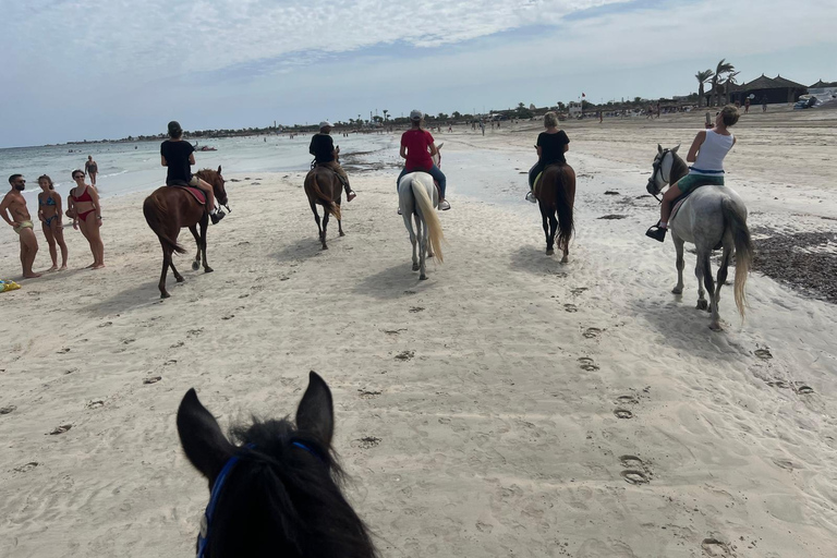 Djerba: Beginner Horse Riding Lesson for Adults and Children.