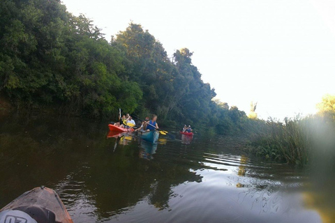 Kayaking Nature Experience - Day Trip from Colonia Kayak Experience WITHOUT transport